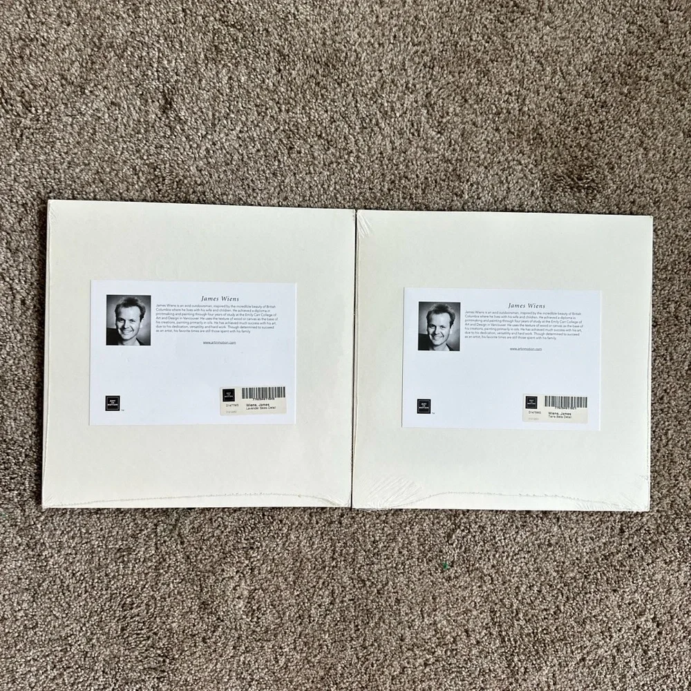 New Art In Motion James Wiens Prints -Set of 2